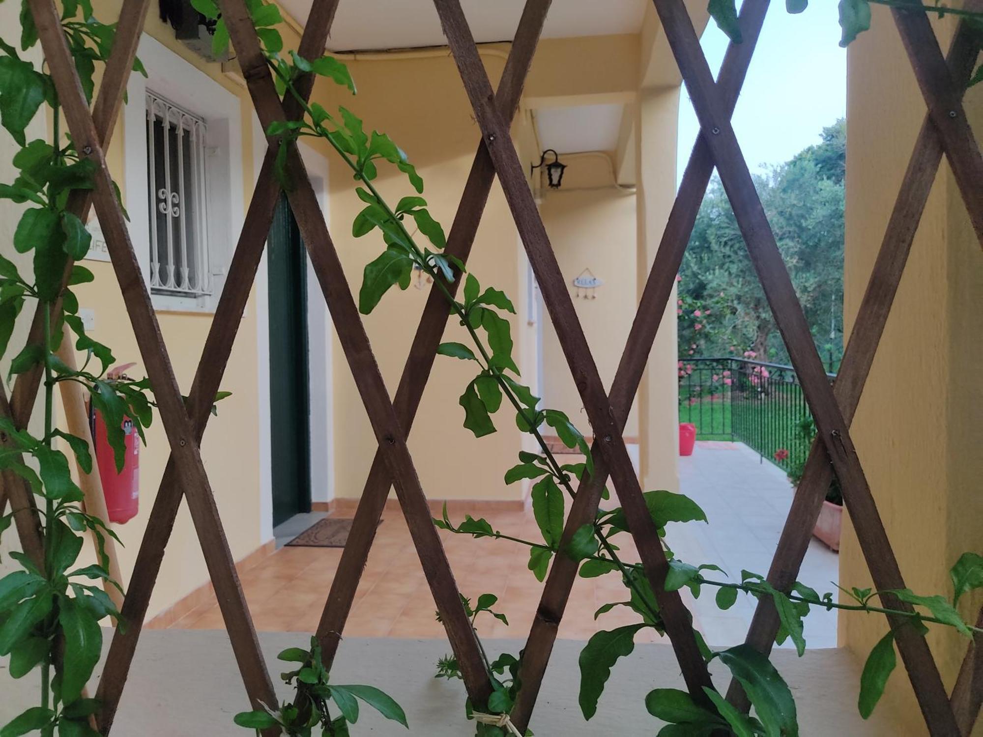 Oliveland Apartments Kávos المظهر الخارجي الصورة